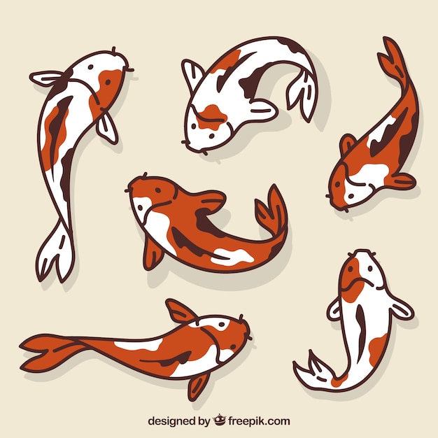 Free Vector set of colorful fishes in hand drawn style