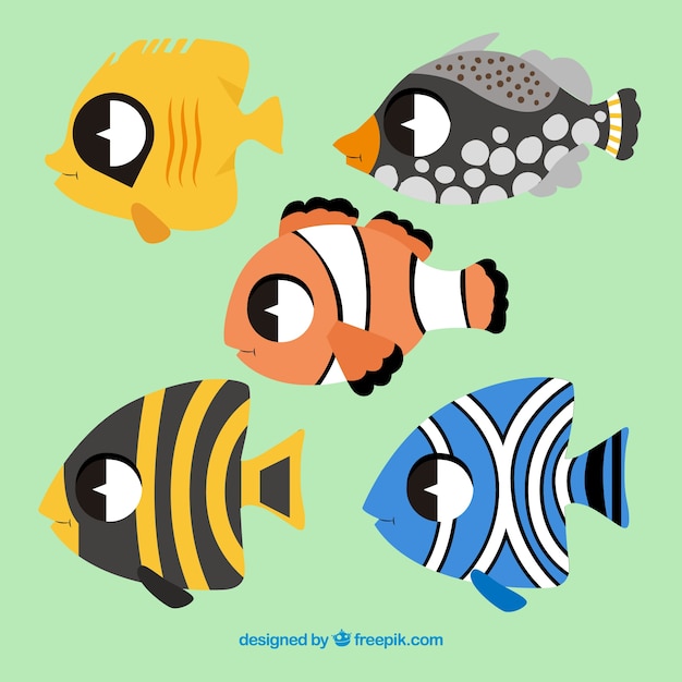 Free Vector set of colorful fishes in hand drawn style