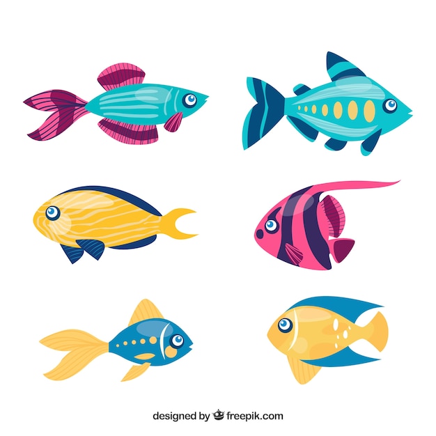 Set of colorful fishes in hand drawn style