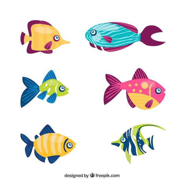 Set of colorful fishes in hand drawn style