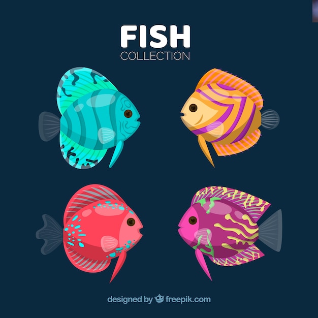 Free Vector set of colorful fishes in hand drawn style