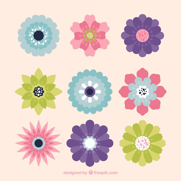 Set of colorful flowers in flat style