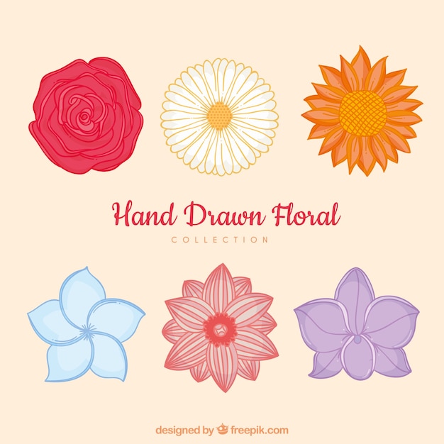 Set of colorful flowers in hand drawn style