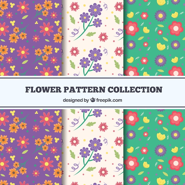 Set of colorful flowers patterns 