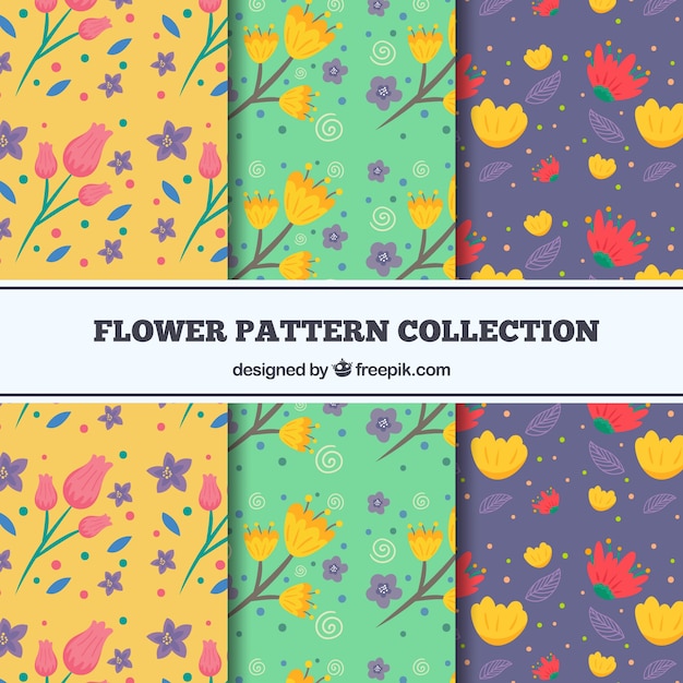 Free vector set of colorful flowers patterns