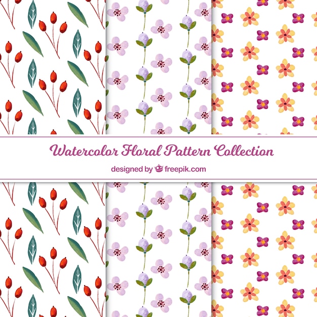 Set of colorful flowers patterns 