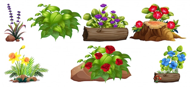 Free Vector set of colorful flowers on rocks and wood