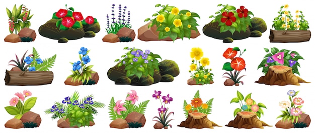 Free Vector set of colorful flowers on rocks and wood