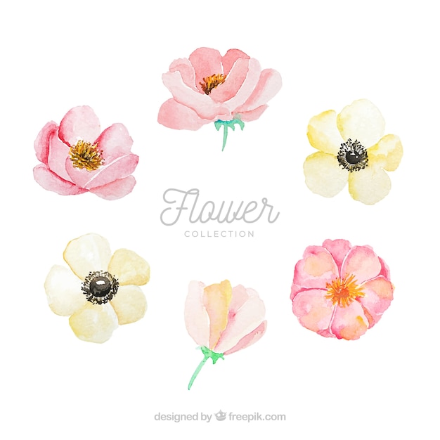 Free Vector set of colorful flowers in watecolor style