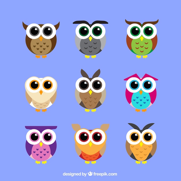 Free Vector set of colorful owls in flat design