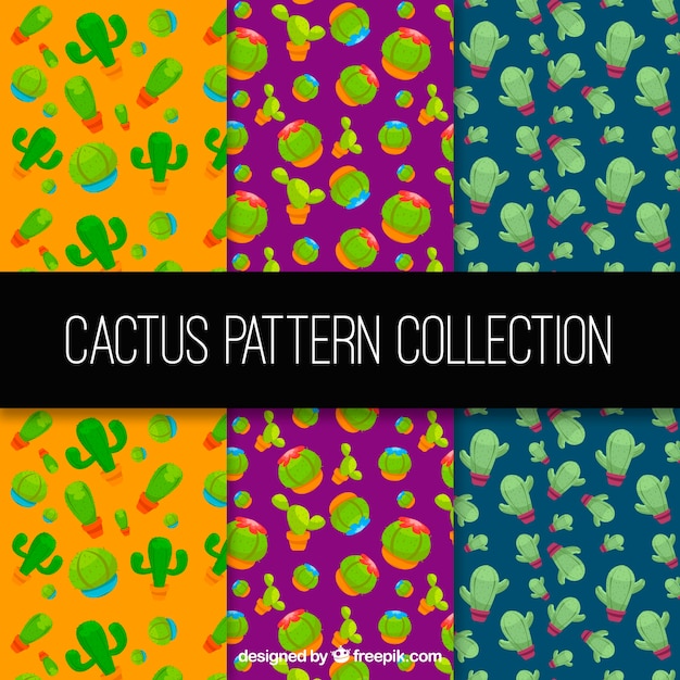 Set of colorful patterns with cactus