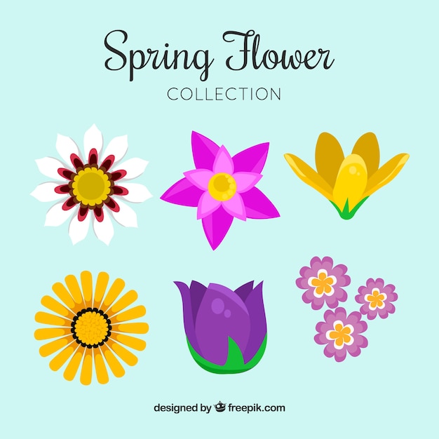 Set of colorful spring flowers 