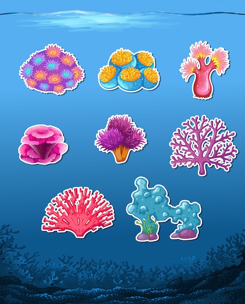 Free Vector set of coral sticker