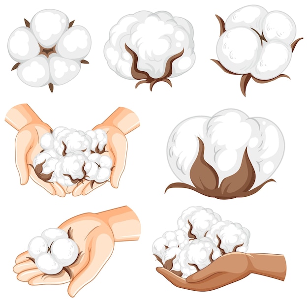 Free Vector set of cotton isolated cartoon