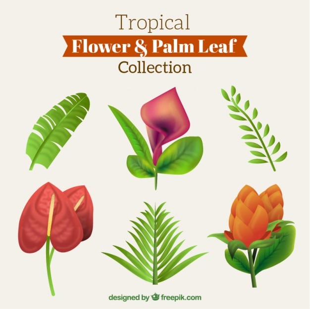 Free Vector set of cute exotic flowers and palm leaves