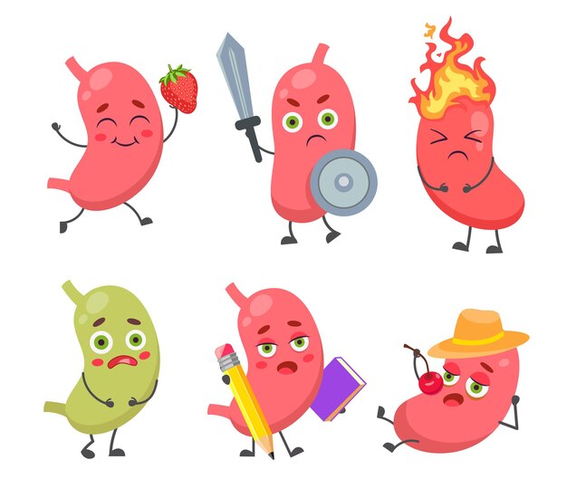 Set of cute, funny stomach character