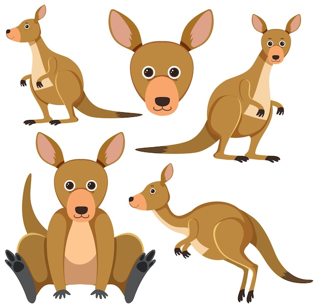 Set of cute kangaroo cartoon character