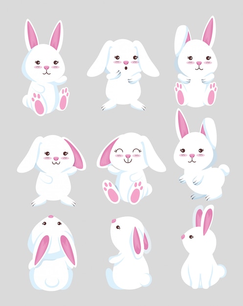 Free vector set cute rabbit wild animal