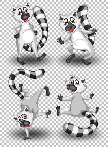 Free Vector set of cute raccoon on transparent background