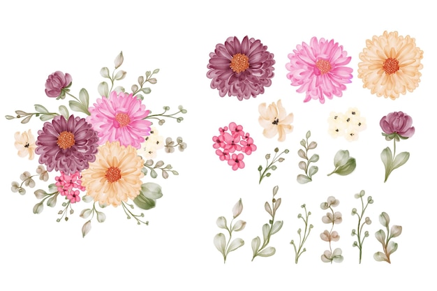 Free Vector set of daisy purple flower isolated floral and leaves clipart