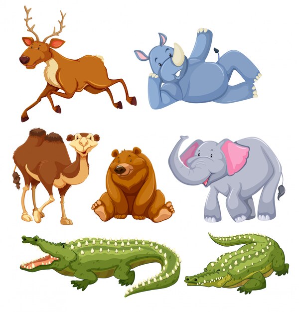 Set of different animals