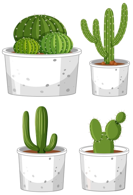 Free Vector set of different cactus in pot on white background