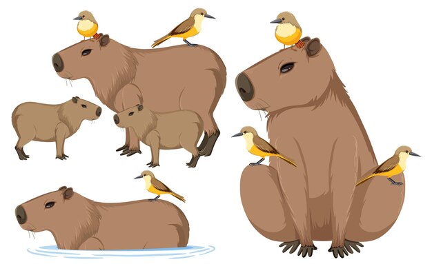 Set of different capybara in cartoon style