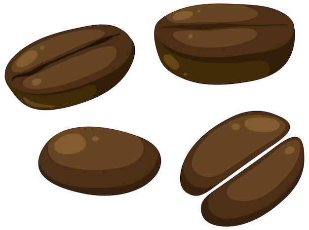 Set of different coffee beans