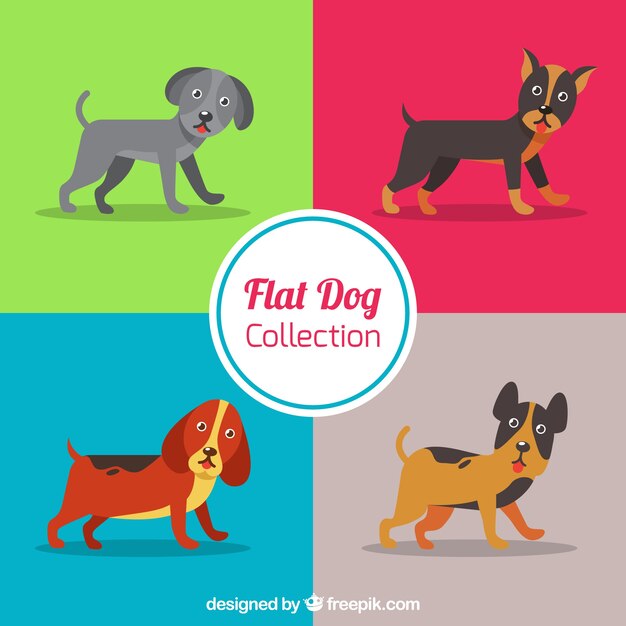 Set of different dog breeds in flat design