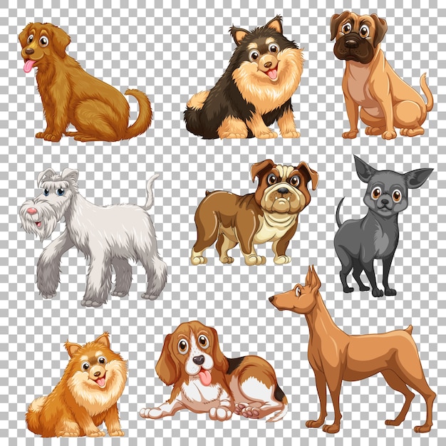 Free vector set of different dogs isolated