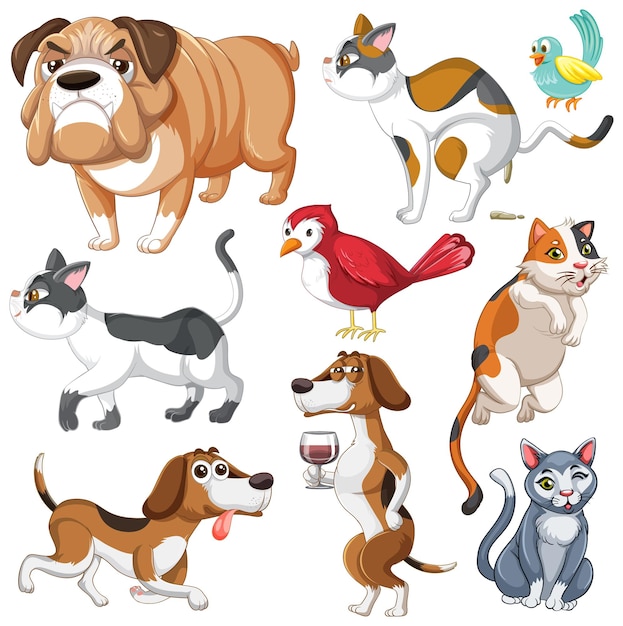 Set of different domestic animals on white background