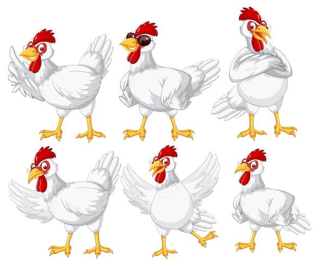 Free vector set of different farm chickens in cartoon style