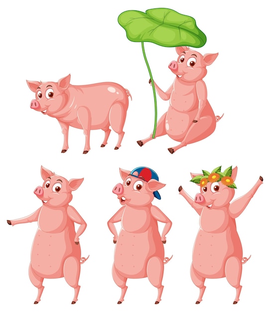 Free vector set of different farm pigs in cartoon style