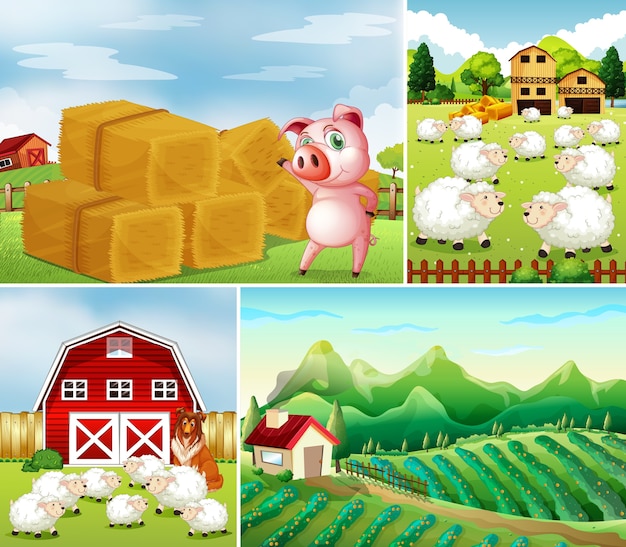 Set of different farm scenes with animal farm cartoon style