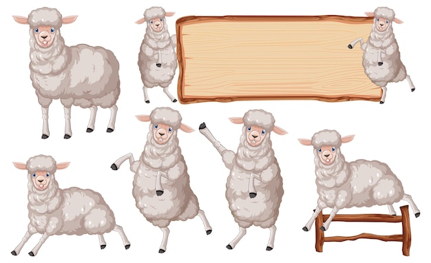 Free vector set of different farm sheeps in cartoon style