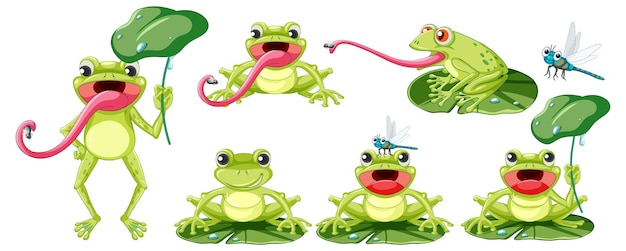 Free vector set of different frogs in cartoon style