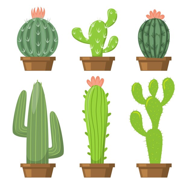 Set of different green cactus in pot drawing on white background