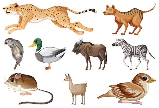 Free Vector set of different kinds of animals