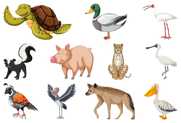 Free Vector set of different kinds of animals