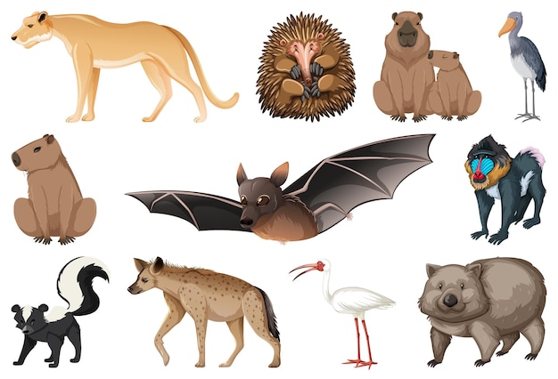 Set of different kinds of animals