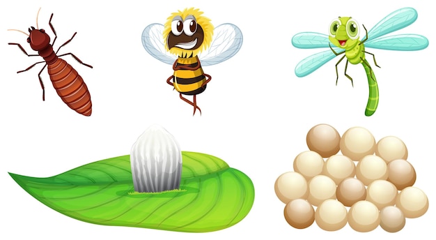 Free vector set of different kinds of insects