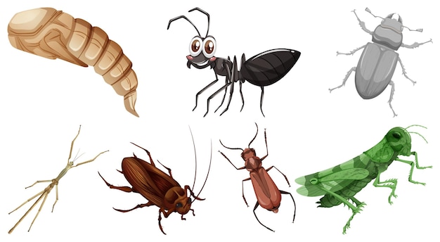 Free Vector set of different kinds of insects