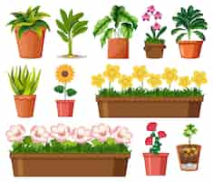 Free vector set of different plants in pots isolated on white background