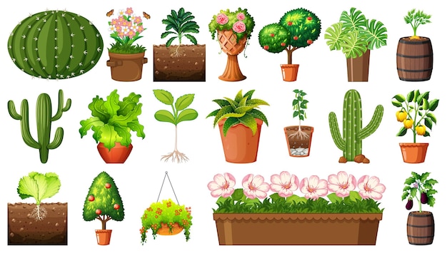 Set of different plants in pots isolated on white background