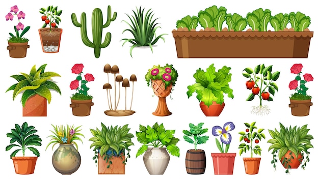 Set of different plants in pots isolated on white