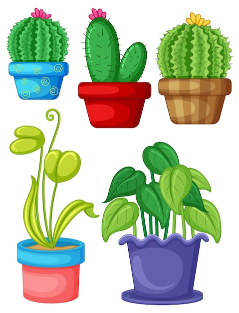 Free Vector set of different plants in pots