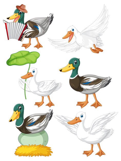 Set of different poses of ducks cartoon characters