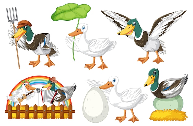 Free vector set of different poses of ducks cartoon characters