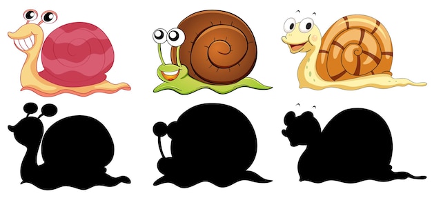 Set of different snails with its silhouette on white background