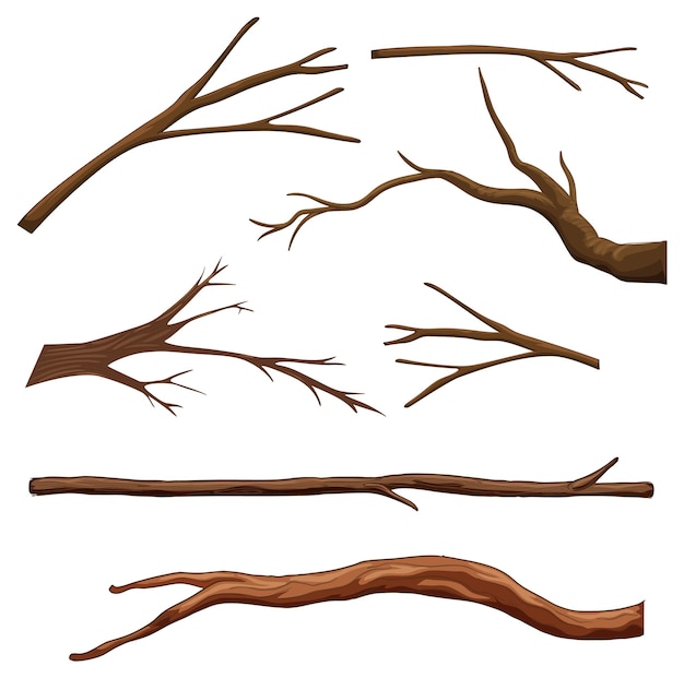 Free vector set of different tree branches isolated